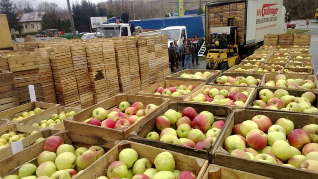 BEZPŁATNE OWOCE I WARZYWA DLA MIESZKAŃCÓW NASZEJ GMINY