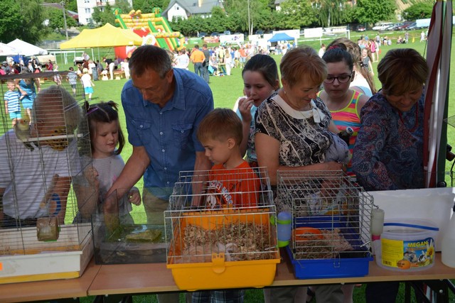 MAMA, TATA I JA 2016