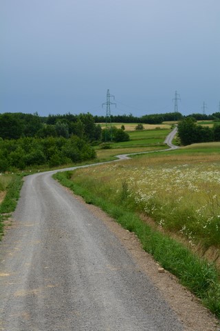 Trasa rowerowa w Futomie.