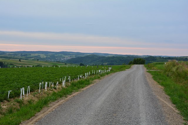 Trasa rowerowa w Futomie.